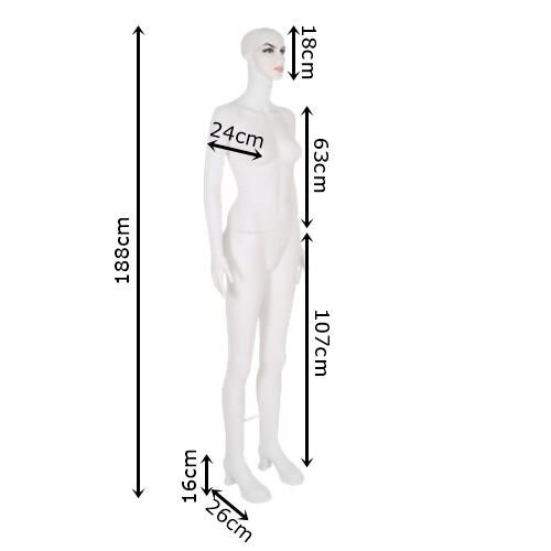 Bay - Bayan Boy Mankeni - Makyajlı Boy Manken, Vitrin Manken